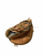 Used Mizuno PROSPECT BB/SB Catchers RH Throw Brown 31" 11479-S000423819 View 1