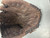 Used Rawlings PLAYER PREFERRED BB/SB Glove RH Throw None 14" 11307-S000265732 View 1
