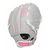 Rawlings Baseball & Softball Fastpitch Gloves View 1