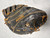 Used Wilson A2000 BB/SB First Base RH Throw Black 12 1/4" 11307-S000265750 View 4