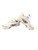 Used 3N2 Sports RALLY SB CLEATS BB/SB Cleats White Senior 9.5 11760-S000092407 View 2