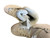 New Jackson ULTIMA WomensFigure Skate White Senior 8 11861-S000033253 View 2
