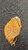 Used REGENT BB/SB First Base RH Throw Brown 12 1/2" 11162-C000455943 View 2