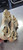 Used Nike 7.5 BB/SB Cleats None Senior 7.5 11497-S000158341 View 2