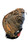 Used Rawlings PREMIUM SERIES BB/SB Catchers RH Throw Black 32 1/2" 11937-S000090901 View 1