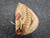 Used Rawlings RCM7 BB/SB Catchers RH Throw Tan 34" 11849-S000040454 View 1