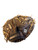 Used Wilson SHOWTIME BB/SB Catchers RH Throw Brown 32" 11760-S000092487 View 2