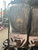 New VENUM BOXING GLOVES 10OZ 11786-90WBOXINGGLOVES View 1
