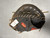 Used Rawlings RENEGADE BB/SB Catchers RH Throw Black 33" 11307-S000265823 View 1