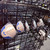Used Tour Edge BAZOOKA GEO MAX JR Jr Package Set LH Royal Blue 5 Piece 11879-S000021443 View 3