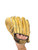 Used ALL PRO BB/SB Glove LH Throw Brown 11" 11732-S000367652 View 3