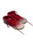 Used Under Armour Adult FB Cleats Red Senior 6.5 11768-S000236954 View 1
