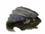 Used Mizuno POWER CLOSE PROSPECT BB/SB Glove RH Throw Black 10 3/4" 11613-S000183463 View 1