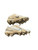 Used Nike D BB/SB Cleats White Junior 03 11892-S000031784 View 2