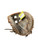 Used Rawlings RAWLINGS SHUT OUT 33IN RHT BB/SB Catchers RH Throw Brown 33" 11838-S000059679 View 1