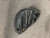 Used Rawlings MARK MCGWIRE BB/SB First Base RH Throw Black 12" 11614-S000237844 View 2