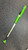 Used Easton MAKO TORQ BB/SB Fastpitch Bat 31" 11831-S000033854 View 1