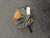 Used Primed BB/SB Accessory 11162-S000456399 View 5