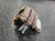 New Franklin Ready to Play 11" Rht 11849-FRA025725521173 View 2