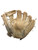 Used Rawlings LIBERTY ADVANCED BB/SB Glove RH Throw None 11 3/4" 11512-S000237455 View 1