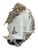Used Easton JEN SCHRO PROFESSIONAL COLLECTION BB/SB Catchers RH Throw None 34" 11512-S000237454 View 1