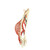 Used STX 6000 LAX STICK Jr Atk/Mid Complete Stick Red 11749-S000203482 View 2