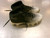 Used Under Armour CLEATS BB/SB Cleats Black Senior 8.5 11339-S000202979 View 3
