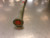 Used Marucci CAT X 2 COMPOSITE BB/SB USSSA 2 3/4 Bat 30" 11339-S000202984 View 4
