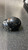 Used Schutt SOFTBALL HELMET Batting Helmet w/Mask Black SM 11831-S000033879 View 2