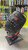 Used Wilson A2000 BB/SB Glove RH Throw Black 12 1/2" 11477-S000213344 View 1