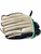 Used Rawlings FASTPITCH SERIES RH Throw Fastpitch Gloves White 10" 11479-S000424570 View 2