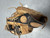 Used Wilson A2000 BB/SB Glove RH Throw None 11 3/4" 11307-S000266005 View 1