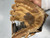 Used Wilson A2000 BB/SB Glove RH Throw None 11 3/4" 11307-S000266005 View 3