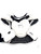 Used STX SHADOW Lacrosse Shoulder Pads White MD 11860-S000310333 View 1
