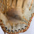 Used Rawlings RBG-36 BB/SB Glove RH Throw Brown 12" 11762-S000080477 View 6