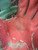 Used Rawlings PROR204W-2PW BB/SB Glove RH Throw Pink 11 1/2" 11801-S000066937 View 6