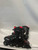 Used Advantage PRO XT Senior Roller Quad Skates Black Senior 8 11911-S000015343 View 1