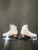 Used Jackson MYSTIQUE Girls Figure Skate White Junior 05 11726-S000297103 View 3