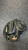 Used All-Star PRO-ELITE CM3000 SBK BB/SB Catchers RH Throw Black 33" 11831-S000033919 View 3