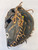 Used Worth SHUTOUT CATCHERS MITT BB/SB Catchers RH Throw Black 34" 11844-S000034213 View 1