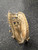 Used Louisville Slugger LXRF19BM BB/SB First Base RH Throw Grey 13" 11726-S000297239 View 1