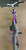 Used Kent TERRA 2.4 Hybrid/City Bike Womens Purple 44-46cm - XXS Frame 11897-S000154953 View 1