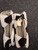 Used STX CELL 3 AP HOPKINS Lacrosse Arm Pads/Guards White MD 11162-S000456875 View 2