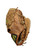 Used Mizuno MZ1022 Baseball Glove Right Hand Throw Brown 10 1/2" 11798-S000028968 View 1