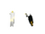 Used FUTURE TOUR KIDS SET Jr Package Set LH Yellow 4 Piece 11917-S000018282 View 1