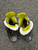 Used Bauer VAPOR X4 Youth Hockey Skate Youth 13.5 11162-S000456968 View 2