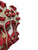 Used Nike DIAMOND BB/SB Cleats Red And White Junior 04 11721-S000284825 View 2