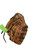 Used Nike KDR1258 BB/SB Glove RH Throw Brown 12 1/2" 11884-S000065369 View 2