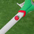 Hackees Italy Nonna's Favorite Spoon Lacrosse Stick, Green/White/Red View 6