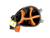 Used LANCER Jr Golf Stand Bag Orange 11798-S000043626 View 2